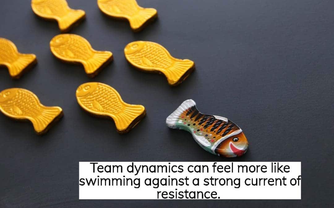 So how can you make your team dynamic?