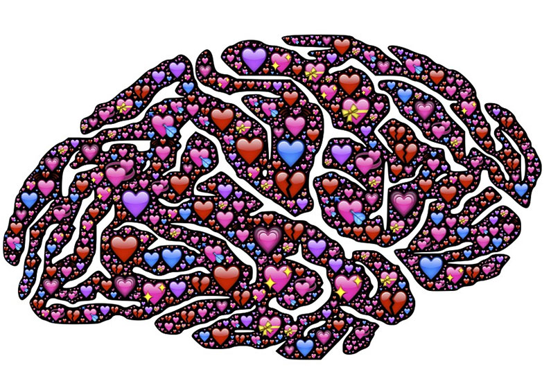 Brain containing hearts showing a training mindset